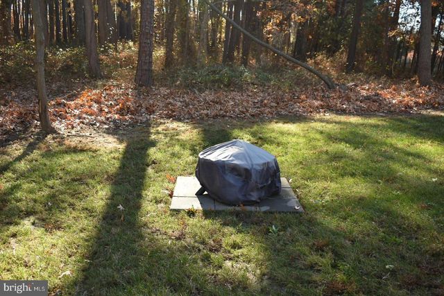 5744 JOHNS WAY, Tilghman, MD 21671