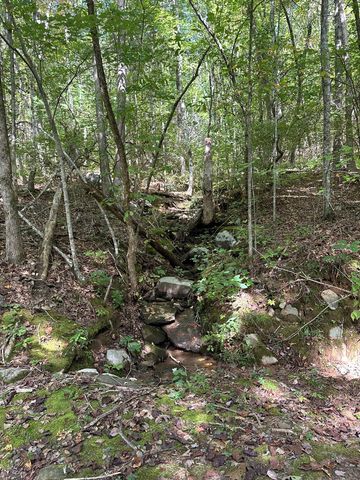 Tr 1 Burning Ember, Murphy, NC 28906