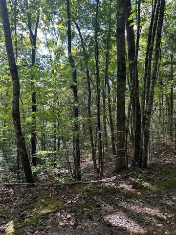 Tr 1 Burning Ember, Murphy, NC 28906