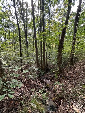 Tr 1 Burning Ember, Murphy, NC 28906