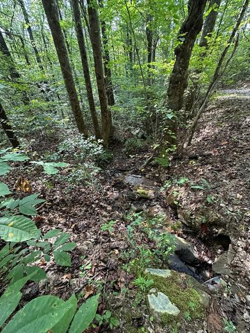 Tr 1 Burning Ember, Murphy, NC 28906