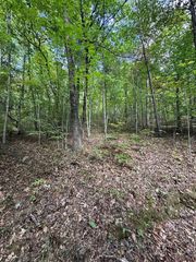 Tr 1 Burning Ember, Murphy, NC 28906