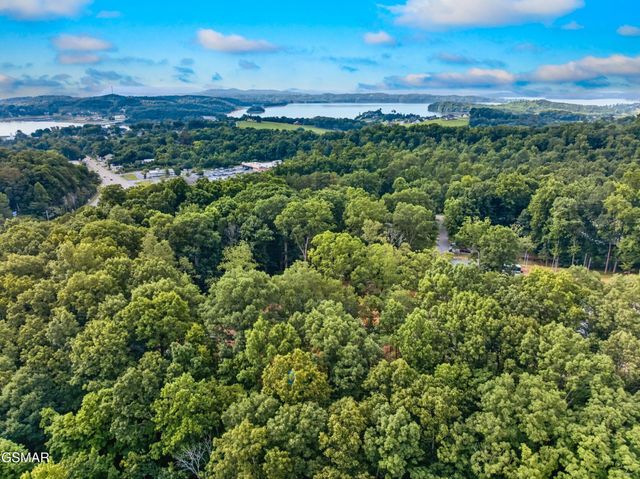 917 Crickett Drive, Dandridge, TN 37725
