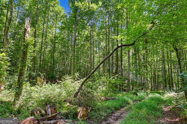 422 Fair Valley Road, Demorest, GA 30535