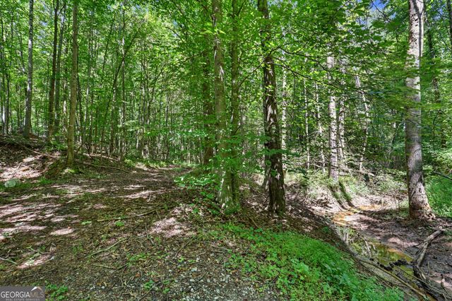 422 Fair Valley Road, Demorest, GA 30535