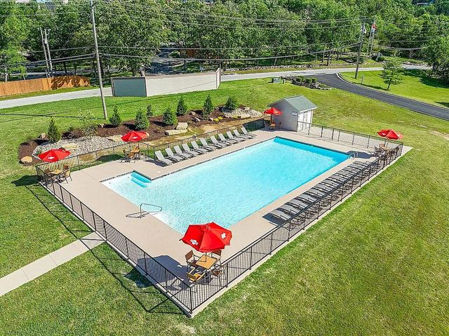 80 Celebration Cove Circle, Branson, MO 65616