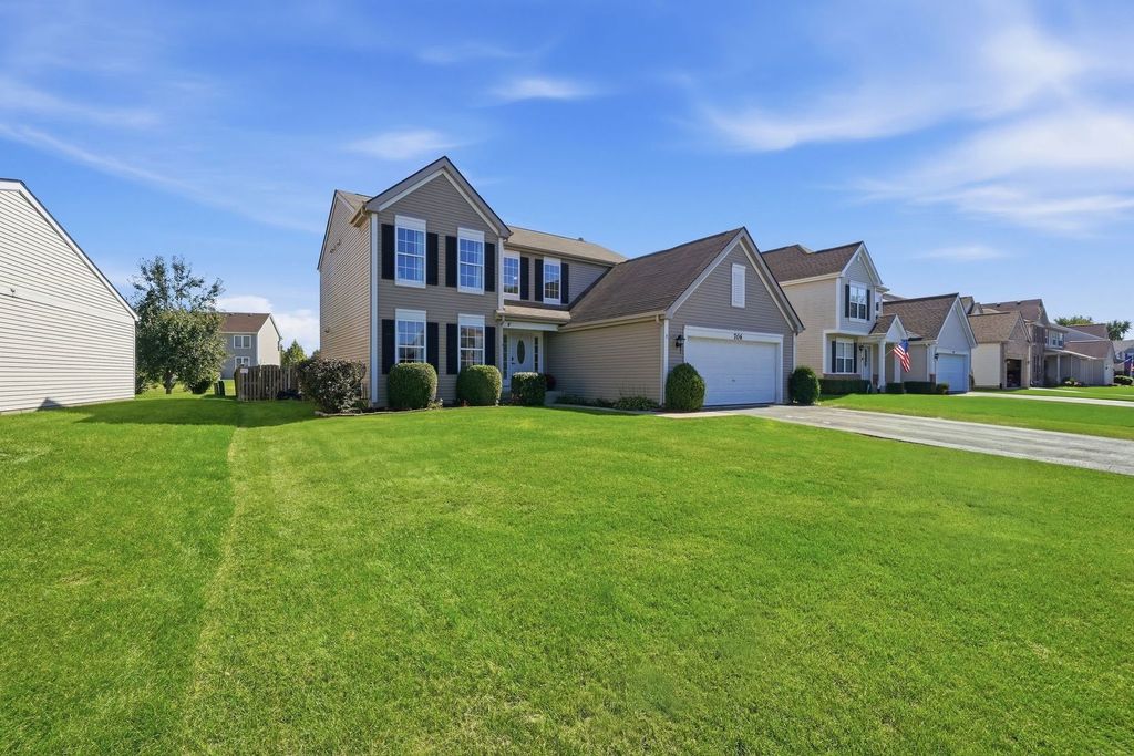 706 Silver Fox Drive, Joliet, IL 60431 — photo 3