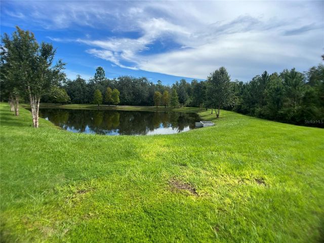 10060 BANYAN BREEZE BOULEVARD, Land O Lakes, FL 34638