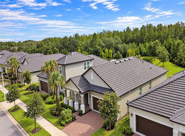 10060 BANYAN BREEZE BOULEVARD, Land O Lakes, FL 34638