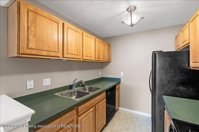 311 Carom Circle 59, Mason, MI 48854