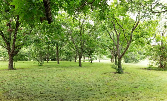 2103 Holly Street, East Bernard, TX 77435