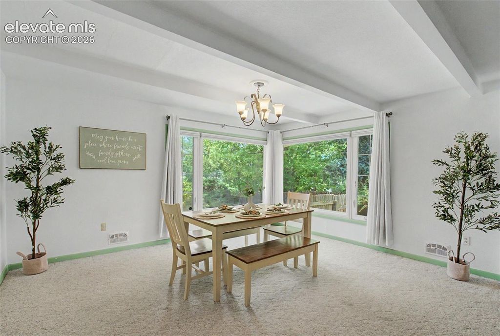 1118 Acacia Drive, Colorado Springs, CO 80907 — photo 4