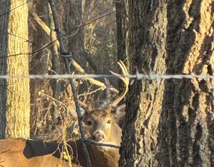 000 E 1320 Road, El Dorado Springs, MO 64744