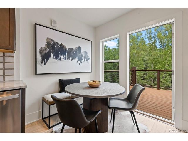 1044 Blue River Pkwy C-C-209, Silverthorne, CO 80498