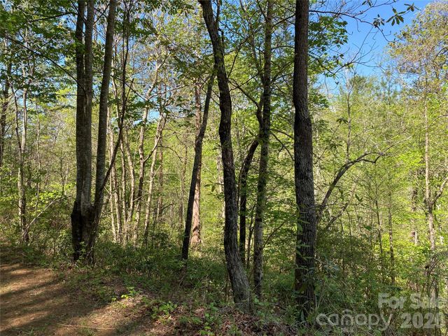 266 Mountain Creek Way, Marion, NC 28752