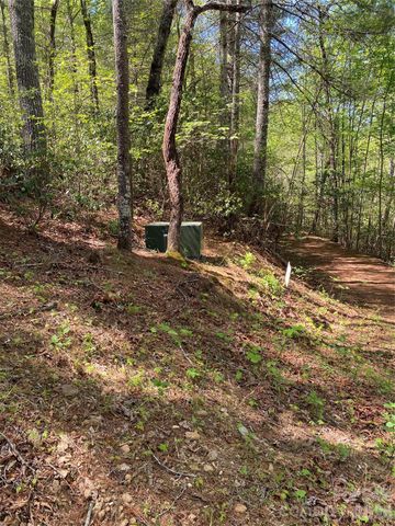 266 Mountain Creek Way, Marion, NC 28752