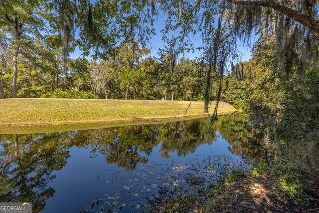 3 Bay Tree Court W, St. Simons, GA 31522