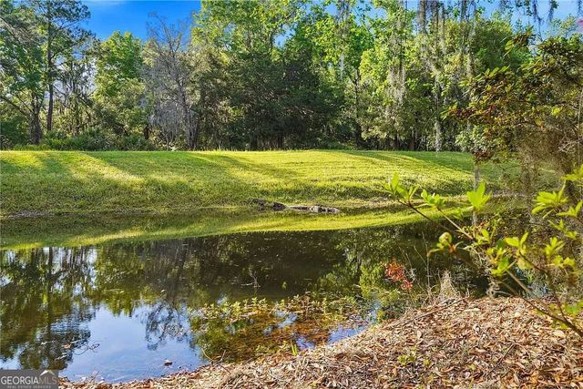 3 Bay Tree Court W, St. Simons, GA 31522