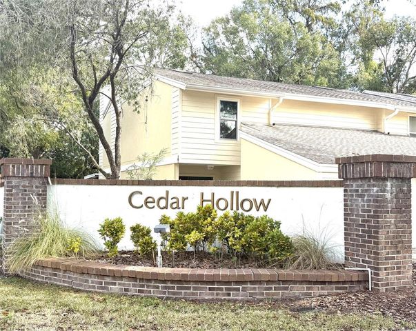11241 CEDAR HOLLOW LANE, Tampa, FL 33618