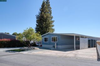 301 Avenida Flores, Pacheco, CA 94553