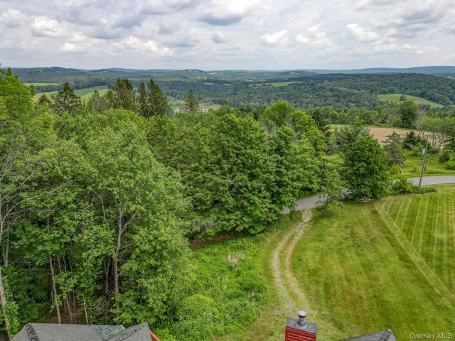 993 Hurd Road, Swan Lake, NY 12783