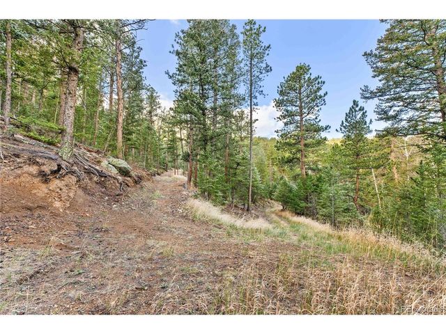 8477 Drew Hill Rd, Golden, CO 80403