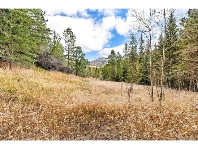 8477 Drew Hill Rd, Golden, CO 80403