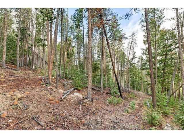 8477 Drew Hill Rd, Golden, CO 80403