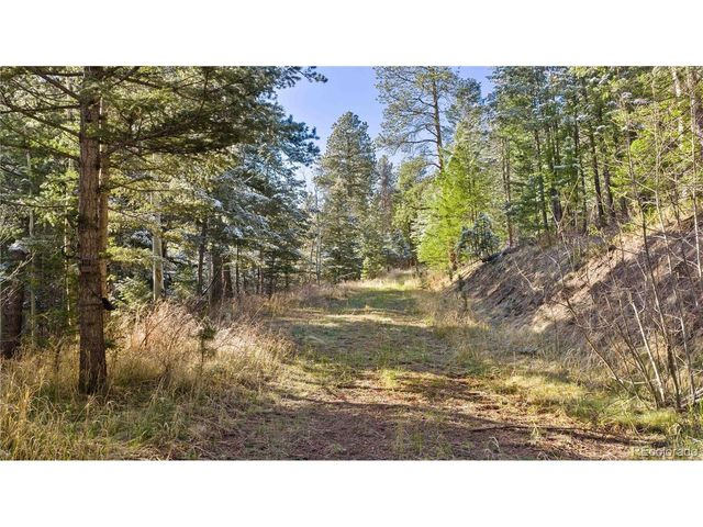8477 Drew Hill Rd, Golden, CO 80403