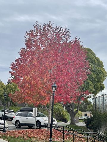 506 Canyon 29, Oceanside, CA 92054