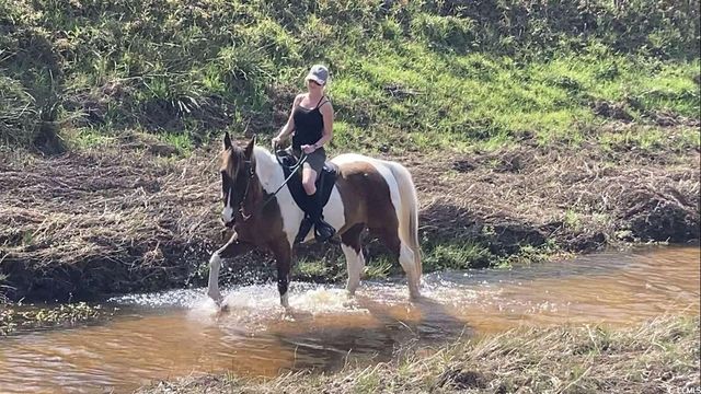 2725 Southfork Rd., Green Sea, SC 29545