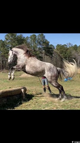 2725 Southfork Rd., Green Sea, SC 29545