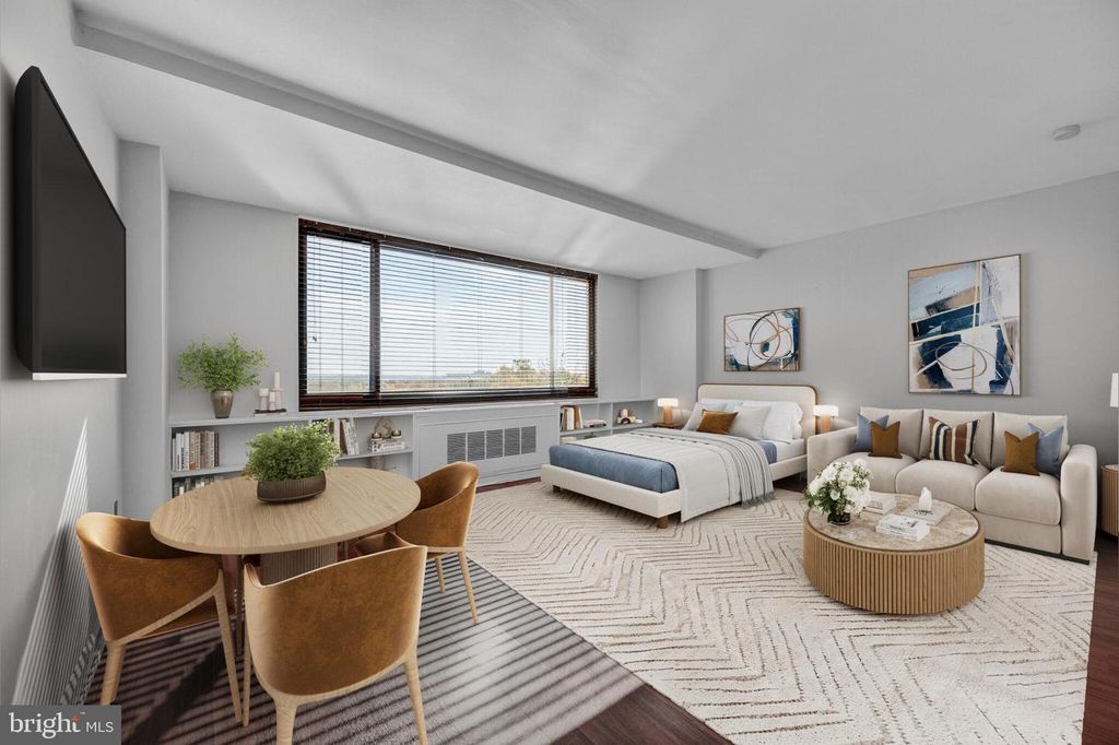 1011 ARLINGTON BLVD #539, Arlington, VA 22209