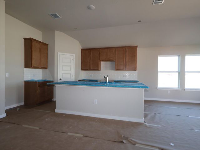 12212 Stilt Sandpiper CV, Buda, TX 78610