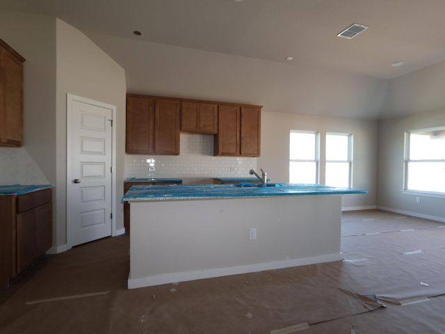 12212 Stilt Sandpiper CV, Buda, TX 78610