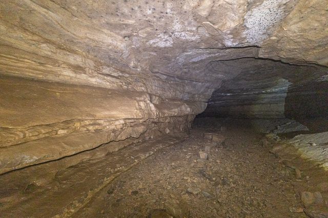 0 Cavern Bunker, Shelbyville, TN 37160