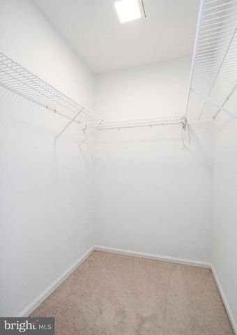 8309 TERRA GRANDE AVE, Springfield, VA 22153