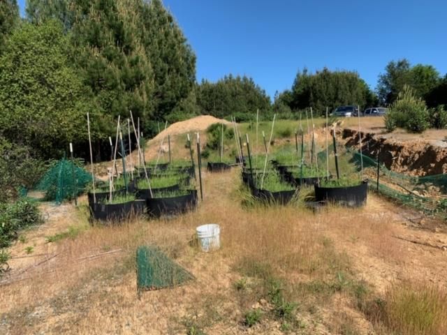 0 Croy Road, Morgan Hill, CA 95037