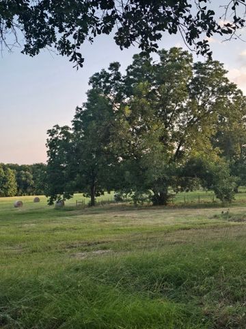 20086 County Road 299, Arp, TX 75750