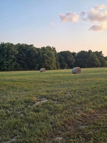 20086 County Road 299, Arp, TX 75750