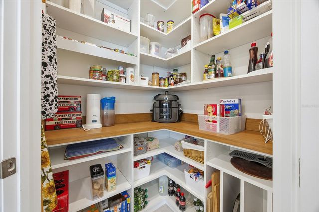 17325 BLAZING STAR CIR, Clermont, FL 34714