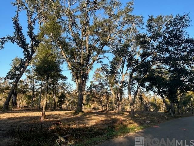 14275 Old River Rd, Maurepas, LA 70449