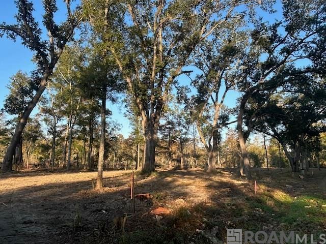 14275 Old River Rd, Maurepas, LA 70449