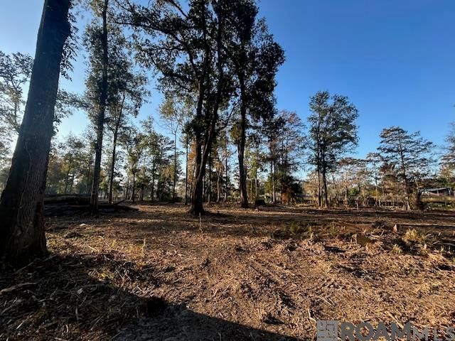 14275 Old River Rd, Maurepas, LA 70449