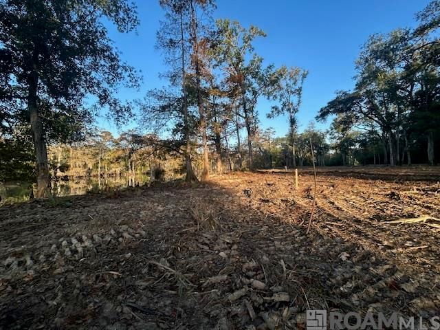 14275 Old River Rd, Maurepas, LA 70449