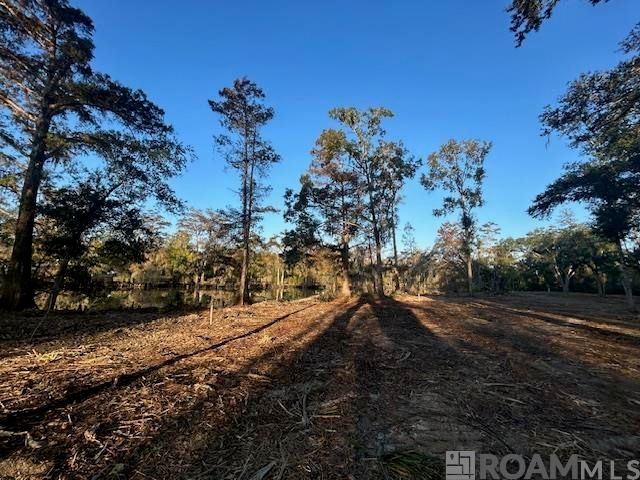 14275 Old River Rd, Maurepas, LA 70449