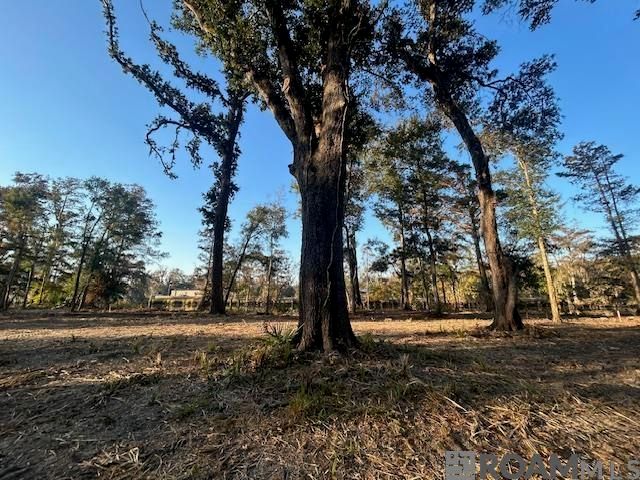 14275 Old River Rd, Maurepas, LA 70449
