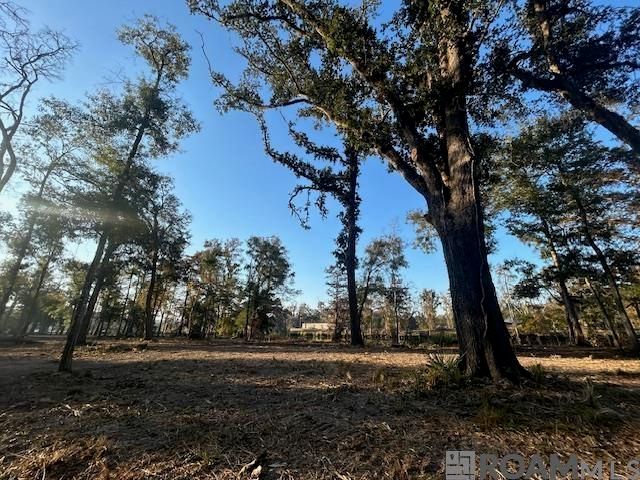 14275 Old River Rd, Maurepas, LA 70449
