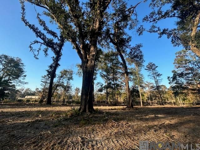 14275 Old River Rd, Maurepas, LA 70449