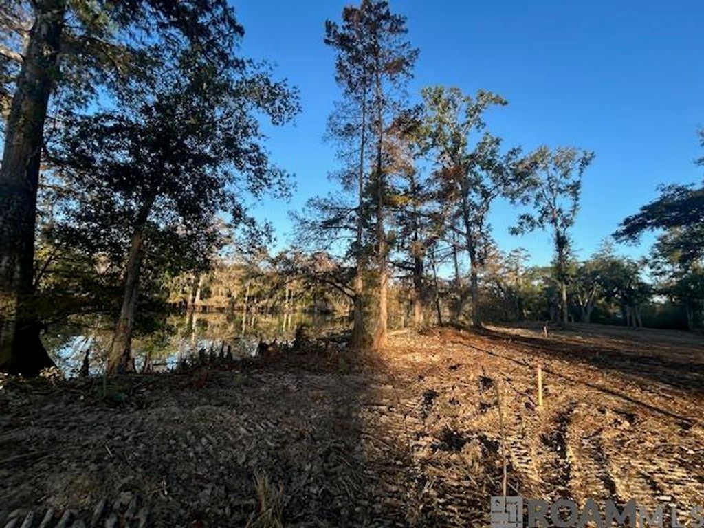 14275 Old River Rd, Maurepas, LA 70449